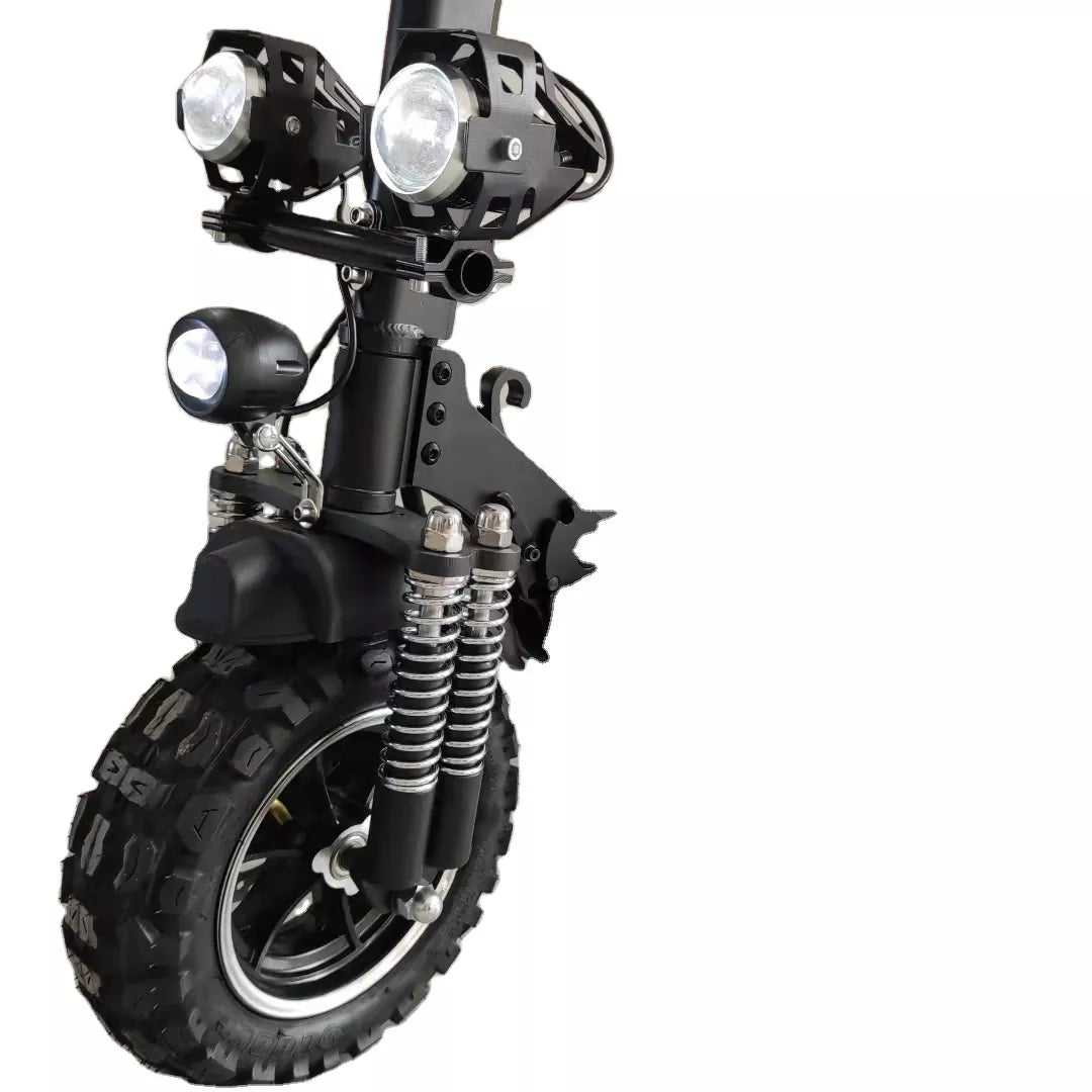 1500W Electric Scooter Electric-H10