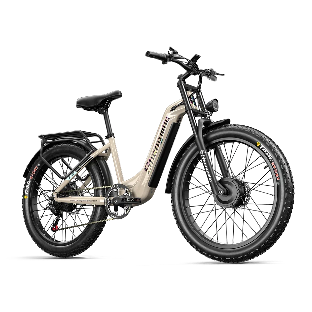 48V 2000W Dual-Motor Adult Electric Bicycle – S700