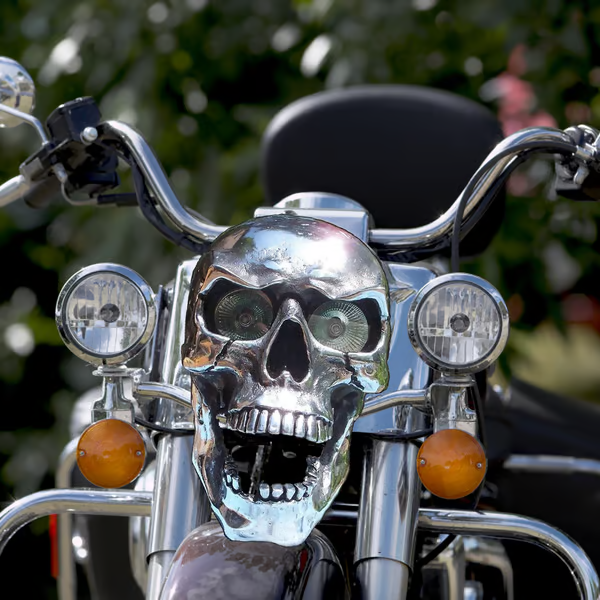 Skull Motorcycle Headlight-D15