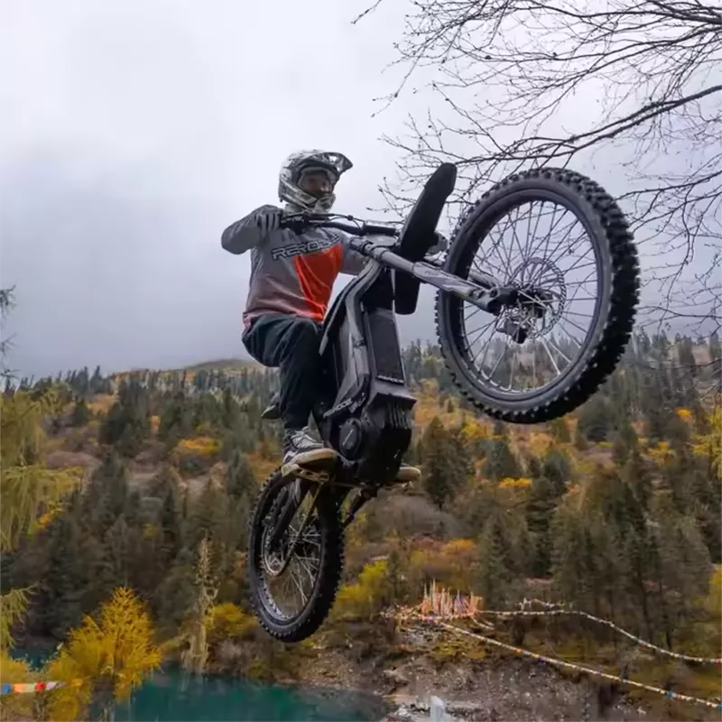 8000W Electric Off-Road Vehicle 35Ah LG 50Mph 75 Miles 389Nm Speed 90-100km/h-A2