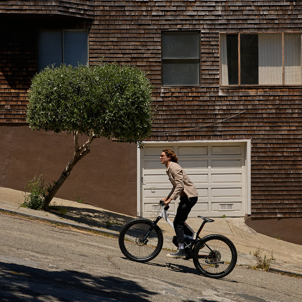 Carbon Fiber Electric Bicycle 48V 500W 20AH-HM500