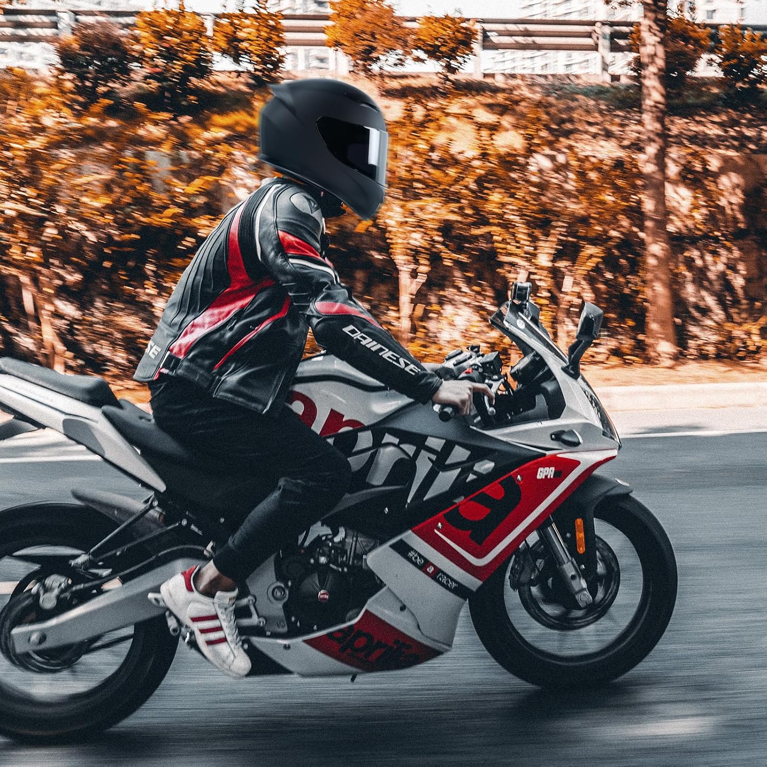 Full Face Motorcycle Helmet WS-607