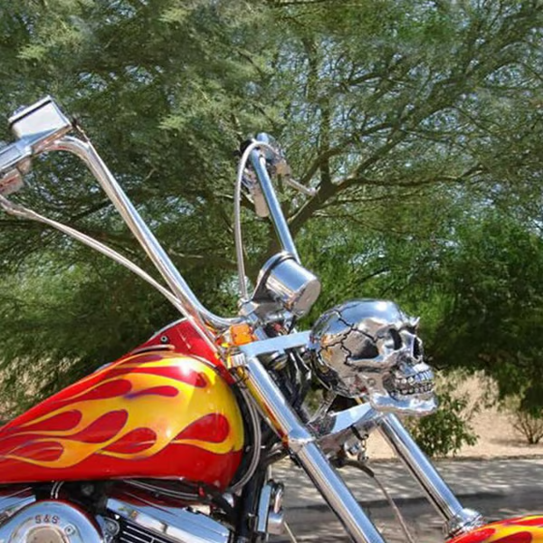 Skull Motorcycle Headlight-D15