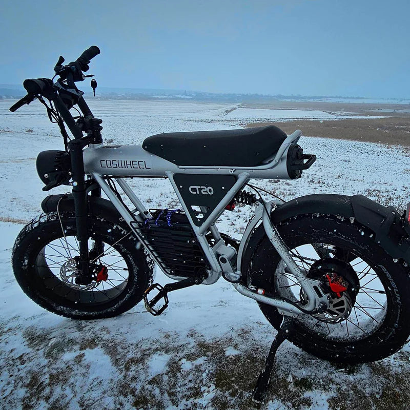 1500W 48V 25AH Electric Off-Road Vehicle-CT20