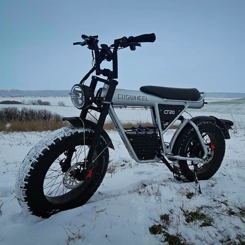 1500W 48V 25AH Electric Off-Road Vehicle-CT20