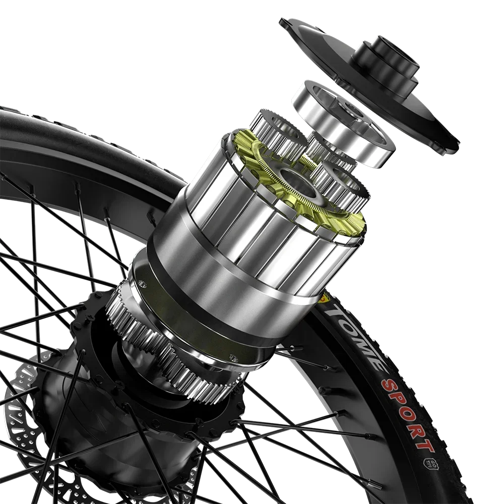 48V 2000W Dual-Motor Adult Electric Bicycle – S700