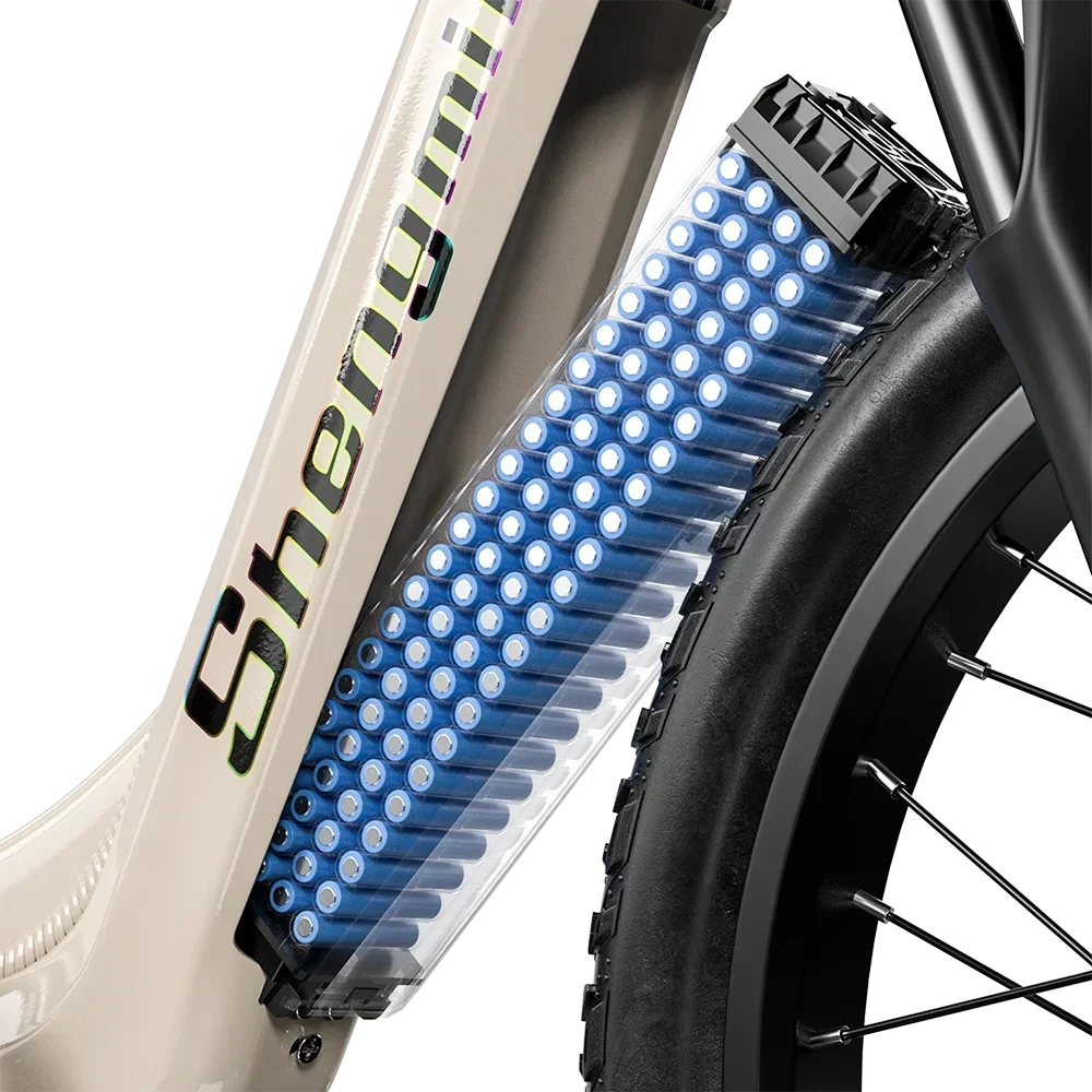 48V 2000W Dual-Motor Adult Electric Bicycle – S700