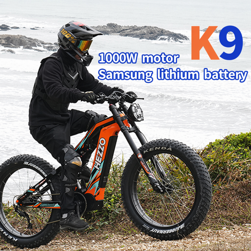 1000W Mid-Motor Carbon Fiber Electric Bicycle - K9